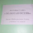 Фотовыставка "Золотая осень". МБОУ СОШ №20. 28.11.17.109833