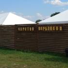 Царство верблюдов