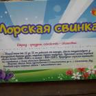 КК№46.Парк тропических бабочек.62378