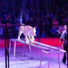 DSC07333.JPG