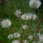 DSCN0625.JPG