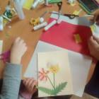 IMG_20171110_162904