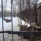 Мои мероприятия!!112722
