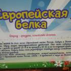 КК№46.Парк тропических бабочек.62390