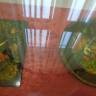 DSC04294.JPG