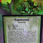 Мир динозавров. ТРЦ Италмас.63555