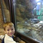 IMG_20171112_191835