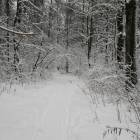 IMG_20171207_131344