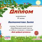 мои дипломы и грамоты118443