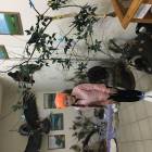 IMG_8554.JPG
