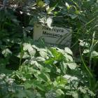 DSCN1586.JPG