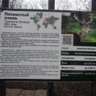 DSCN4899.JPG