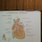 IMG_20171112_101943