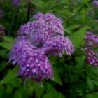 DSCN0351.JPG