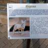 IMG_20160828_082648