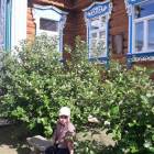 IMG-20190620-WA0027
