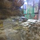 IMG_20171112_191359