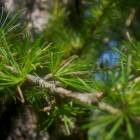 DSCN1638.JPG