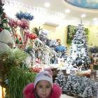 IMG_20171126_115439