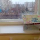 День мам 25 ноября 2017 35