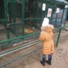 DSCN4818.JPG