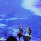 DSCN5880.JPG