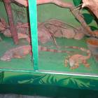DSC05964.JPG