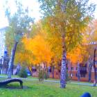 Уличные библиотеки Альметьевска. 31.10.17г.84633