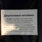 Кунсткамера63258