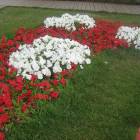 IMG_3743.JPG