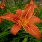 DSCN0637.JPG