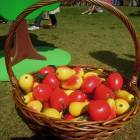 DSCN1205.JPG