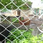 DSC05952.JPG
