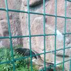 IMG_20160828_084554