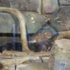 IMG_20171112_185146