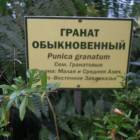 DSCN4785.JPG