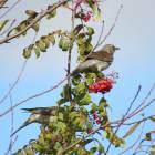 IMG_3432.JPG