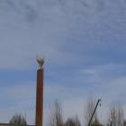 DSC01461.JPG