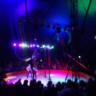 DSC07344.JPG
