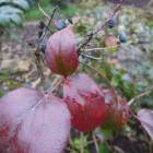 DSCN5050.JPG