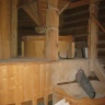 IMG_0763.JPG