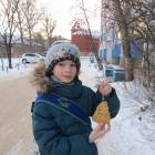Кормушка для птиц128663