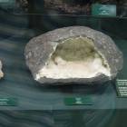 DSCN8533.JPG
