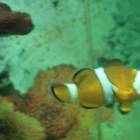 DSCN9945.JPG