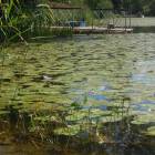 DSCN1556.JPG