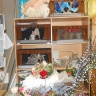DSCN2101.JPG