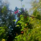 DSCN1617.JPG
