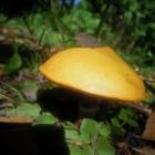 DSCN1652.JPG