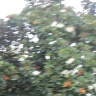 2013 022.JPG