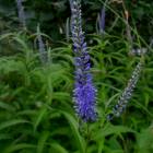 DSCN0358.JPG